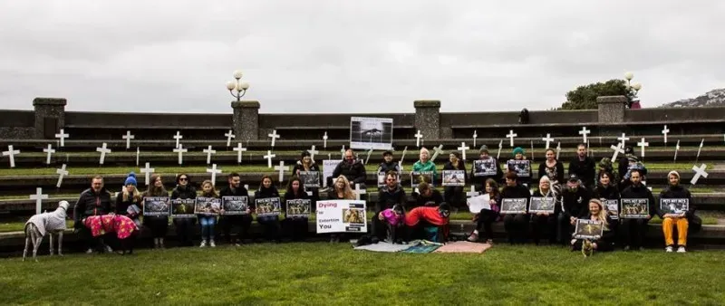 14485092 1841407739423951 6908068468074643008 n 1