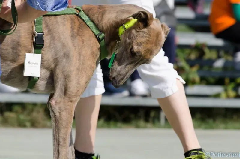 14492398 1129069757176878 6961236279663041656 n