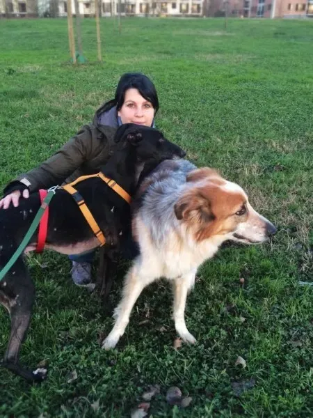 14492469 1132174680199719 4460863744244369513 n