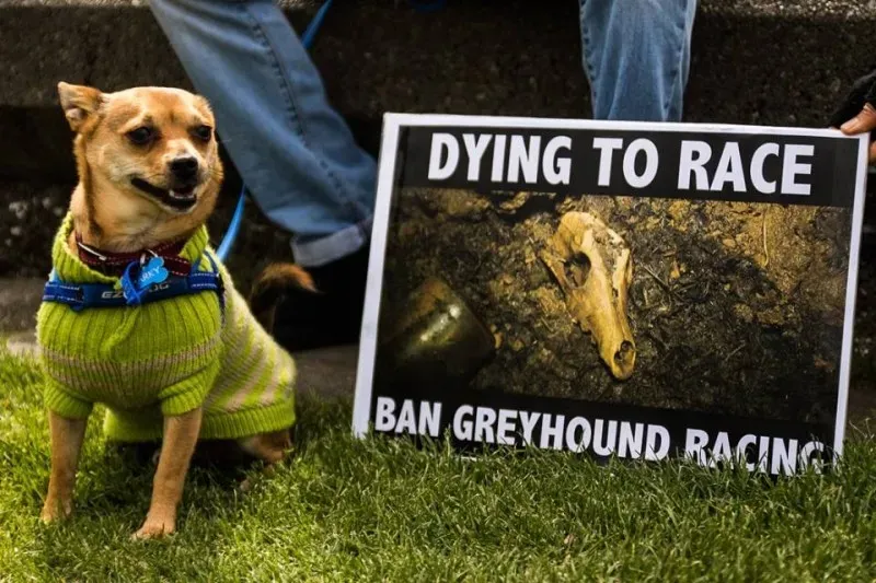 14495280 1841407992757259 2078477940293257483 n