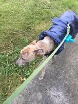 14495290 10207647818016890 6251818445529222655 n