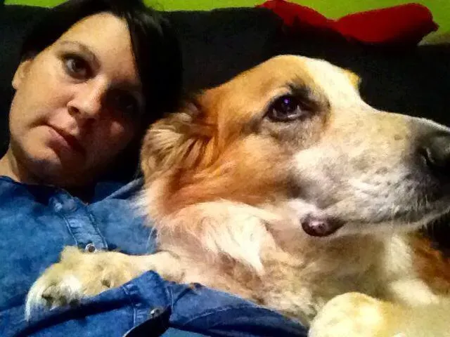 14495485 1132175016866352 7440862879902608054 n