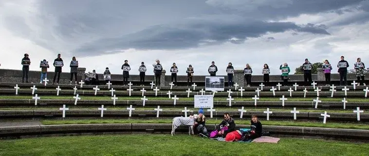 14500240 1841409392757119 2316973275801627602 o