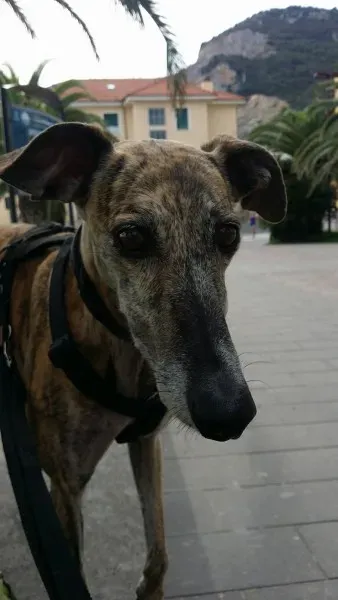 14500366 1444999552183564 199115442512996926 o