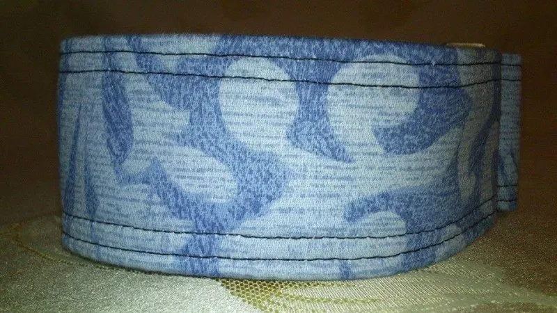 1450187 723998031017388 8769863896248975788 n