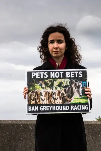 14502692 1841408589423866 4515274564449113739 n 1