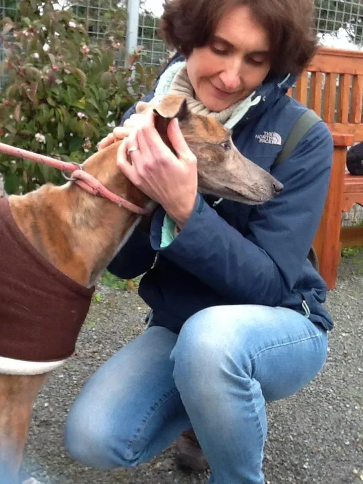 1451425 495025777261887 1268269770 n