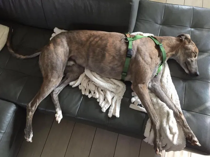 14516327 10207610055592853 7832142461205181732 n