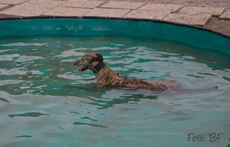 14516376 10210362914250755 1651369698551922434 n