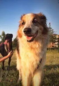 14517345 1132174656866388 7213031887630883332 n