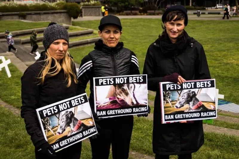 14517483 1841407916090600 723149268155080313 n