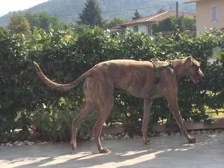 14517498 10207610054272820 5078571505927506372 n