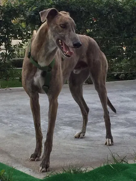 14517512 10207610054392823 8430371712875895682 n