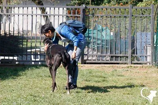 14518744 662176763953372 1877331532 n