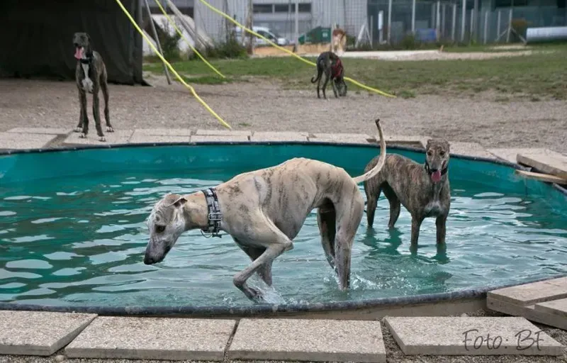 14519669 10210362914330757 5582263083026097784 n