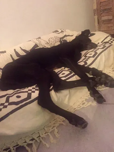 14519833 10209100861191977 319819733486012984 n