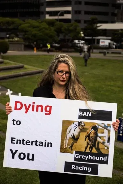 14519882 1841407896090602 1774119948543403832 n 1