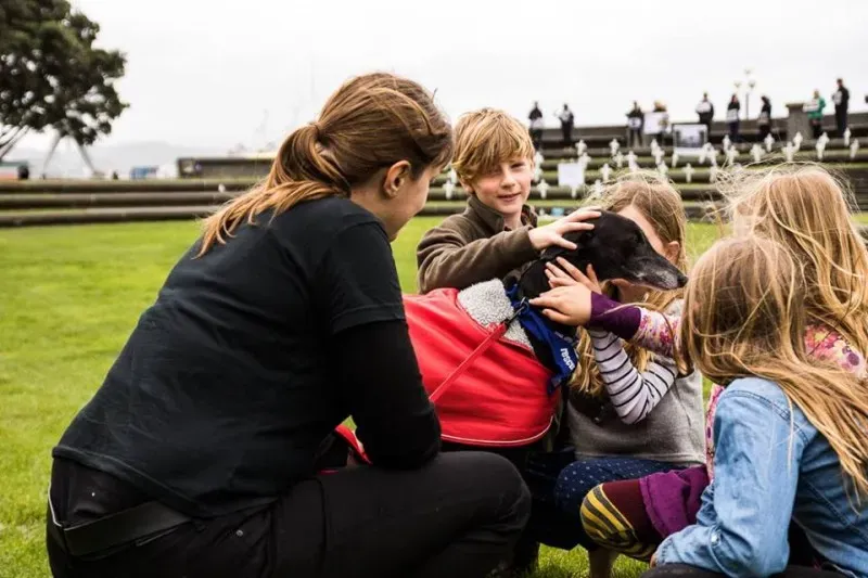 14519936 1841408102757248 9197460057387960259 n