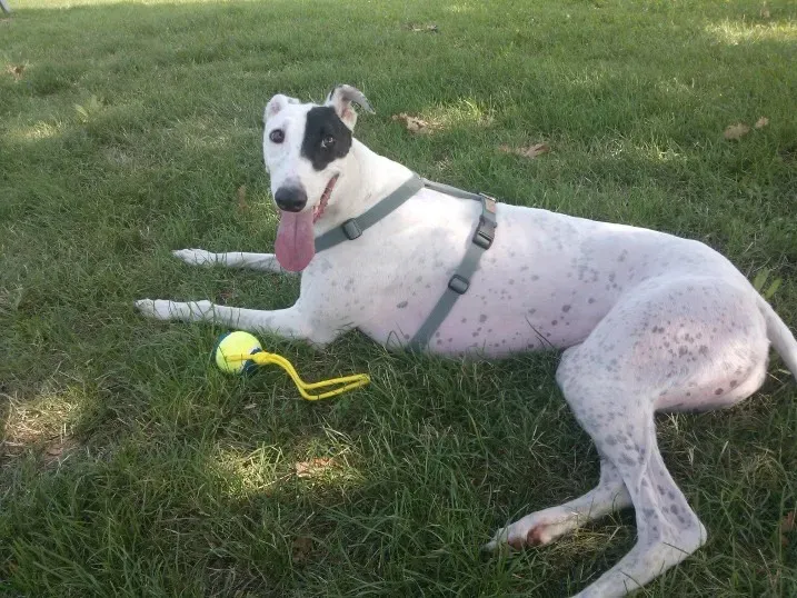 1452051 10201965550693724 1913893069 n