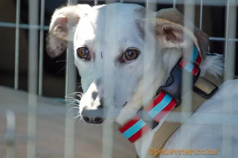 14522713 1130315213718999 3459655906371094897 n