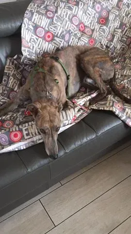 14522848 10207619009656699 8907765863994719814 n