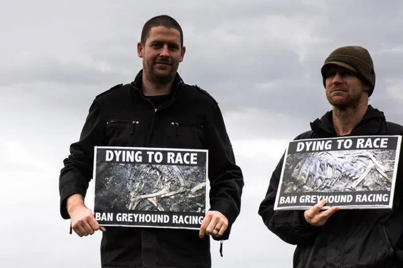 14522959 1841408386090553 6117388361478270051 n 1