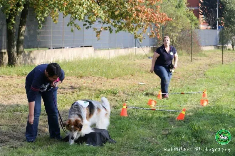 14523058 1132174986866355 3530604017414753972 n