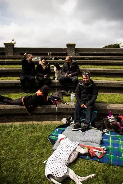 14523090 1841407732757285 3466664597146660943 n 1