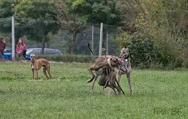 14523169 10210362914210754 8431989568660837500 n