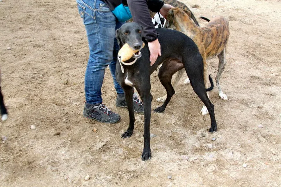 1452487 552253111525215 937431203 n