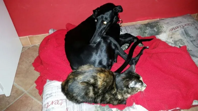 14525231 10210539379831006 1748238852988385421 o