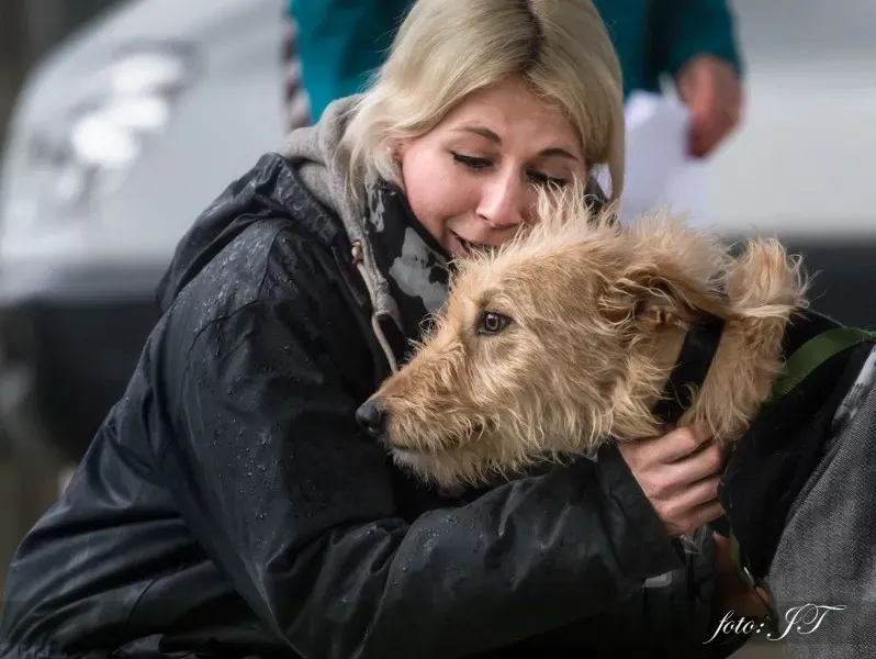 1452970 982385905164146 1610134946 o