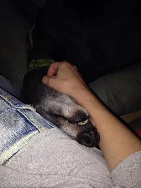 1453390 861732723844783 5407795930320505186 n