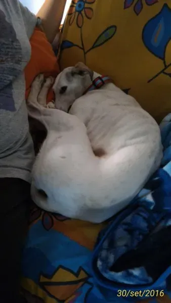 14536814 1095127100542124 30078676 o