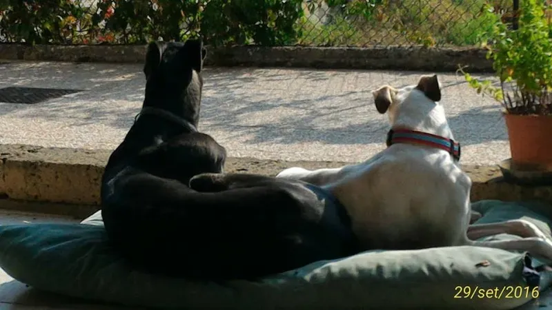 14543490 1095126390542195 1262909145 n