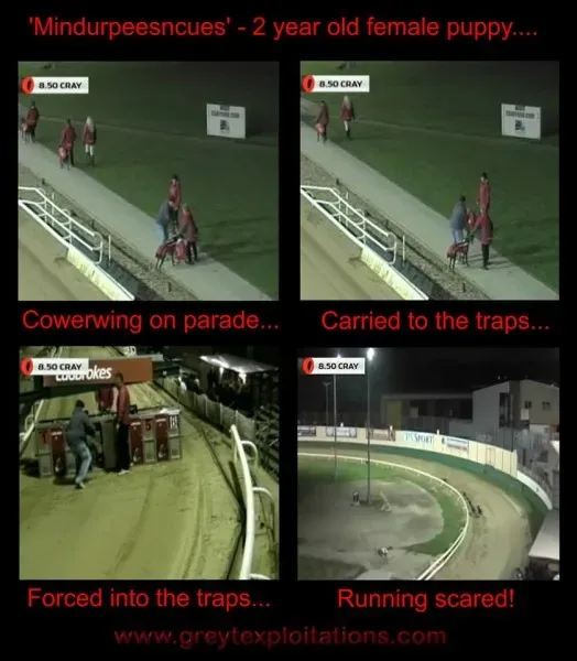 1455051 588326677887168 508330160 n