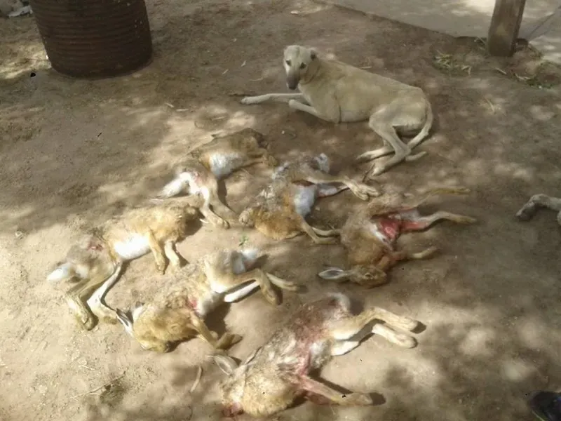 14563542 202064153578335 926791352786486364 n