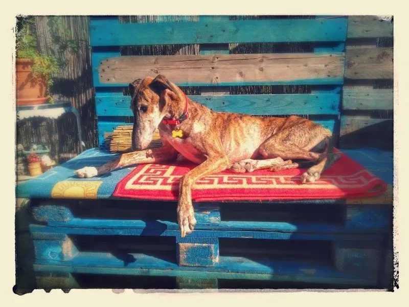 14568188 1144866728930514 2032884152965587164 n