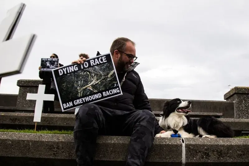 14570210 1841408209423904 2850980931879675355 n