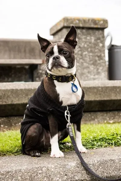 14570338 1841408242757234 204389136043282290 n