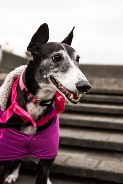 14570492 1841408179423907 954137588183066573 n