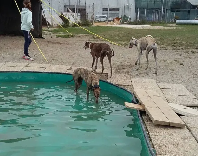 14572291 10210362913490736 7719202856026655750 n