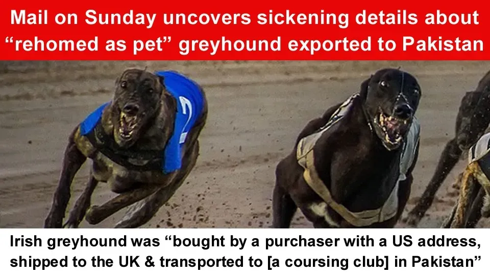 145761468 3648726691909529 9209635051102869085 n