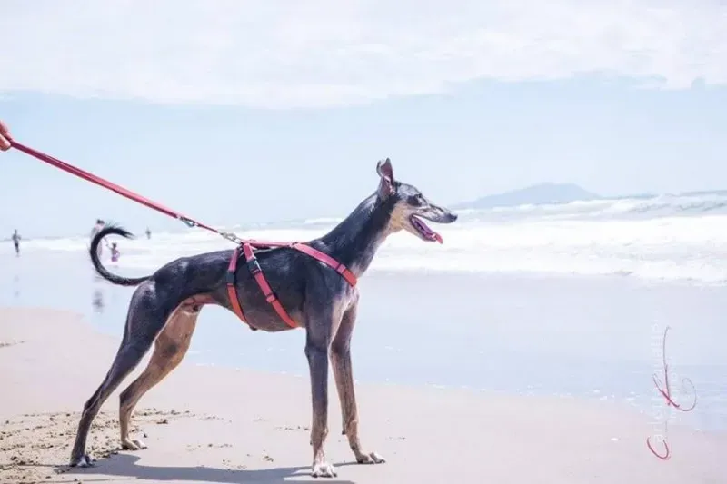 14581553 1437996056214734 2891387829089576995 n