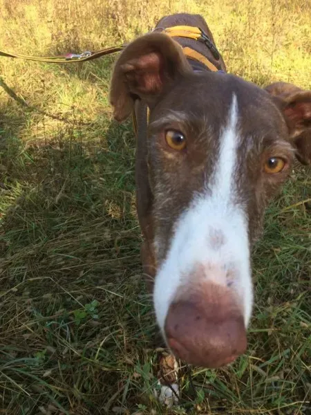 14590255 10208737663451629 219435180253407588 n