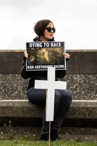 14590268 1841408152757243 4364097525424458961 n