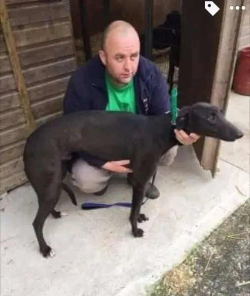 14590277 10209446878241407 5897425850516122708 n