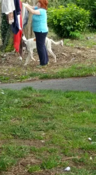 14590450 10154681002871255 1504121702022548792 n