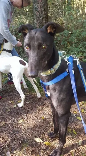 14590464 10154657181586255 3144076332718760276 n