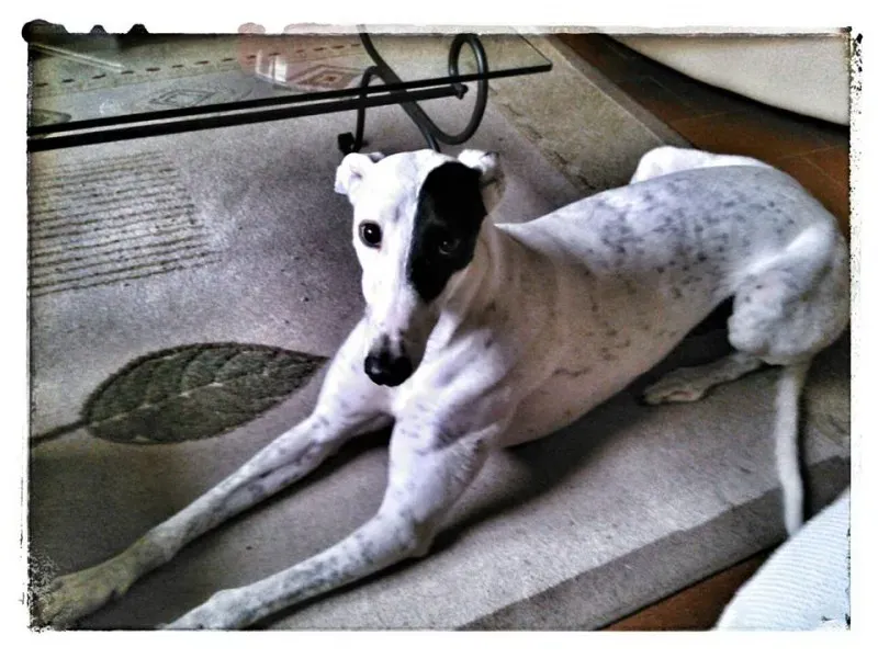 1459150 10200229200612187 2013069956 n